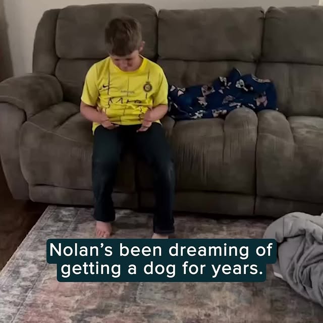 Post by humankindvideos