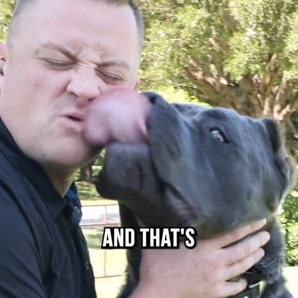 Post by braintrainingdogs_easy