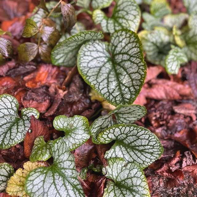 Post by ina_im_gruenen