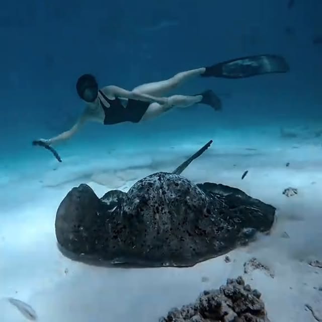 Post by divingmaldive