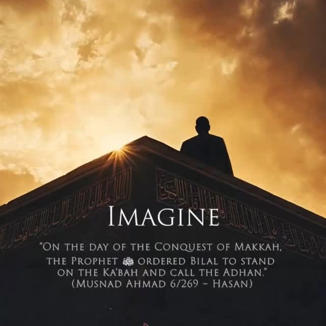 Post by hahnemanntravel