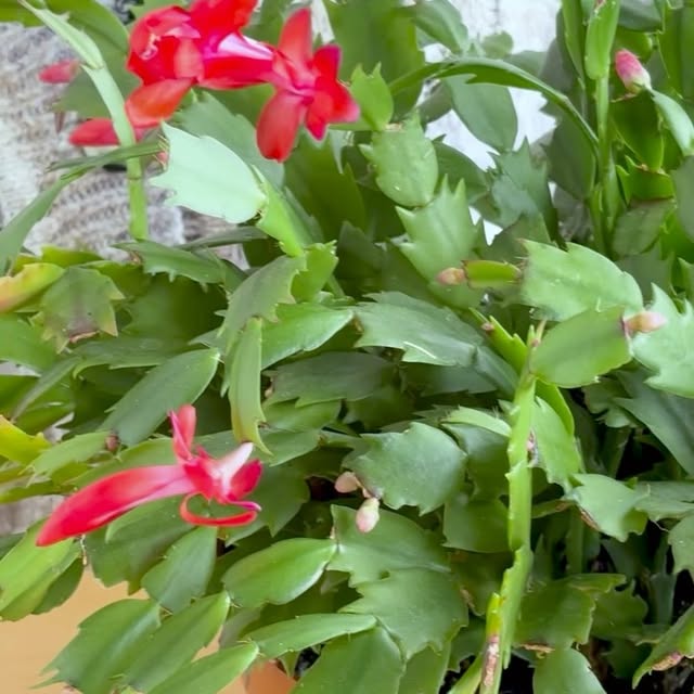 Post by gardengatemagazine