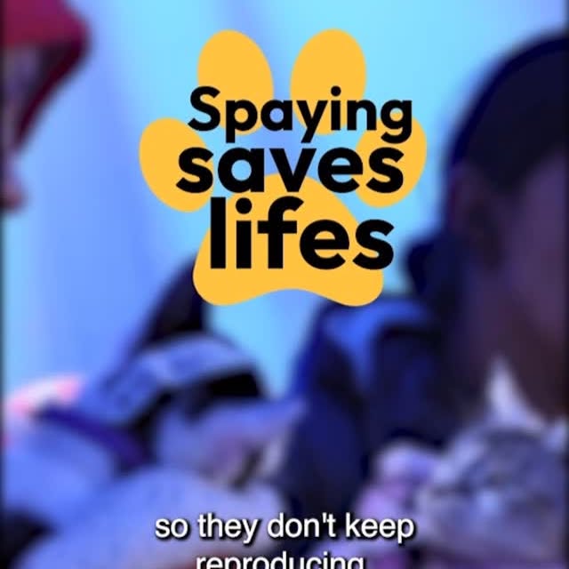 Post by andreia.albies