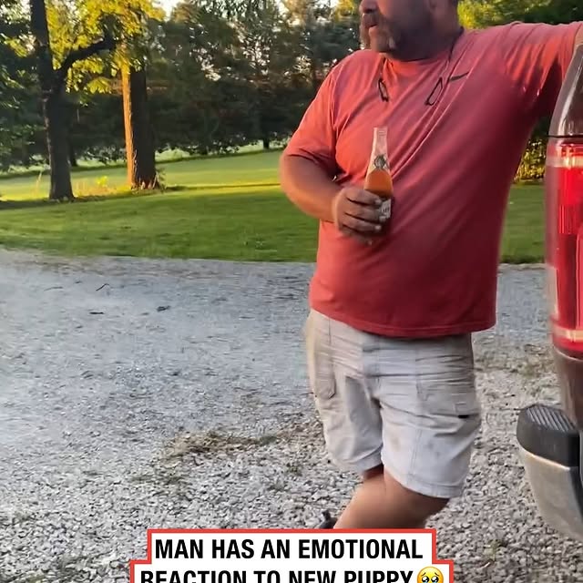 Post by ladbible