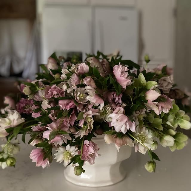 Post by becky.cunningham.home