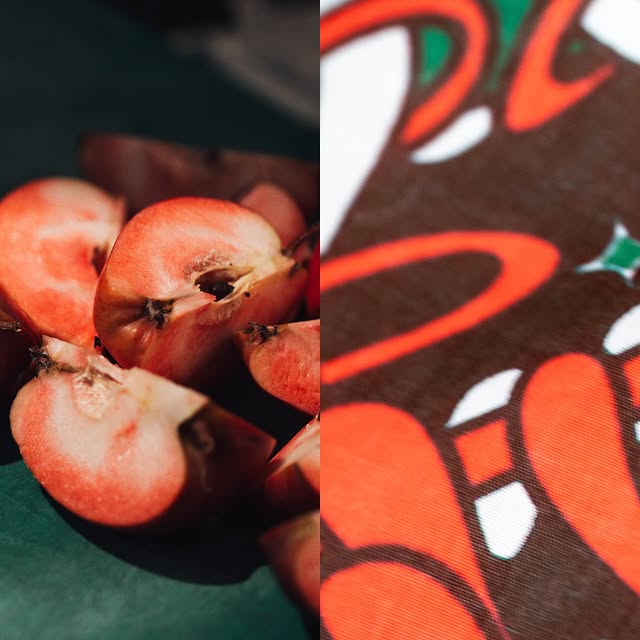 Post by elmira.zuerich