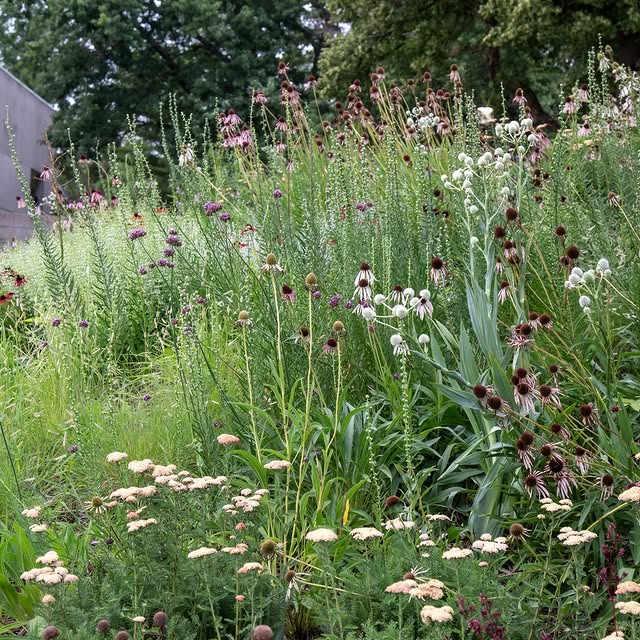 Post by kellydnorris