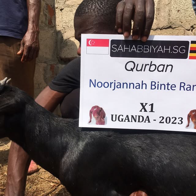 Post by noorjannah.ramli