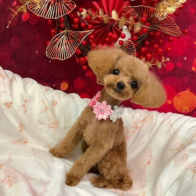 Post by natsukiikeda624