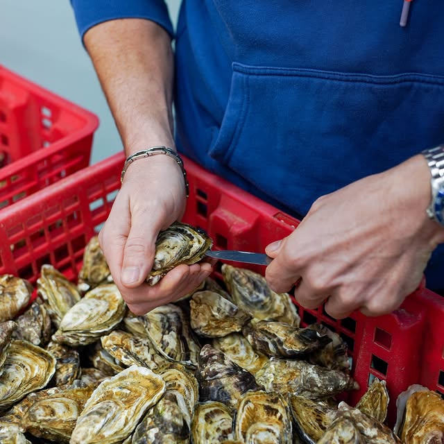 Post by huitresdenormandie