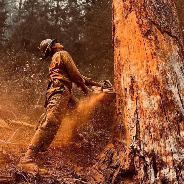 Post by firesciencenutrition