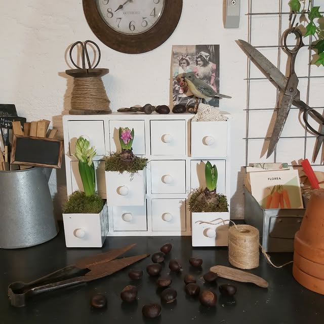 Post by sofiehills_tradgard