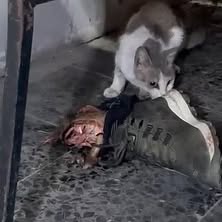 Post by mohamed.h.masri