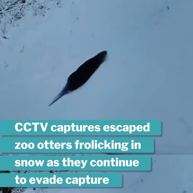 Post by mothershiponearth