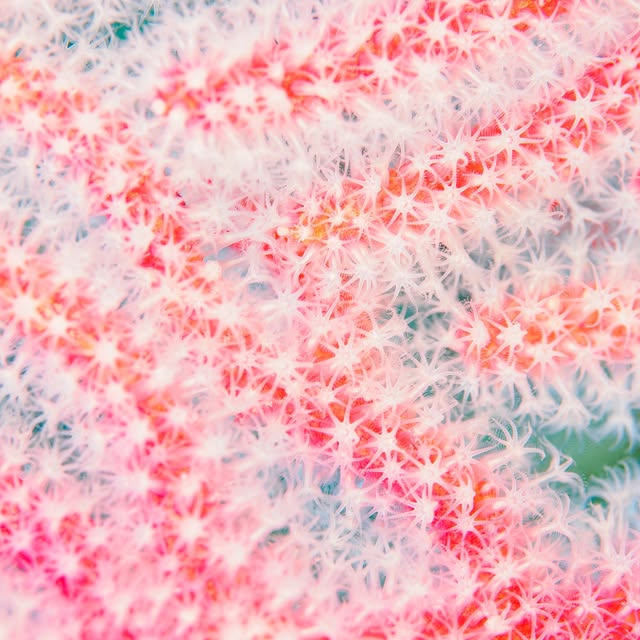 Post by hideyukihongo