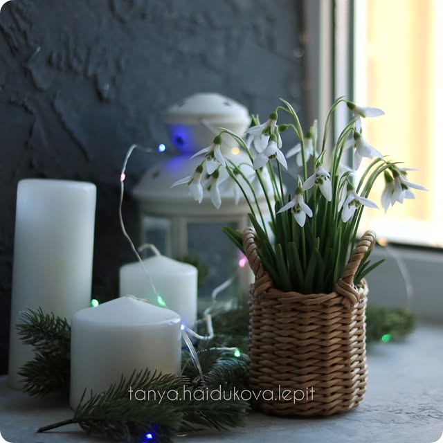 Post by tanya.haidukova.lepit