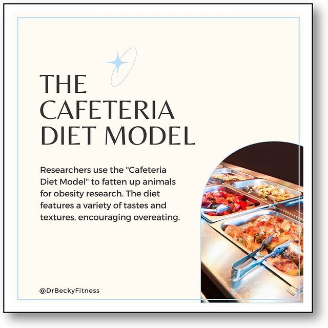 Post by drbeckyfitness