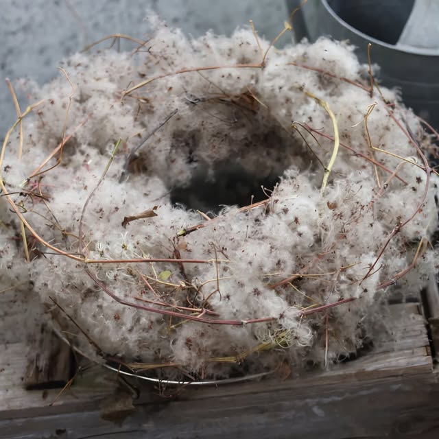 Post by brodkorbsophie