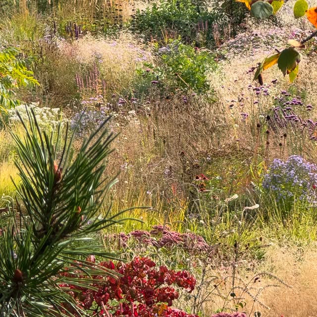 Post by vill_hageglede