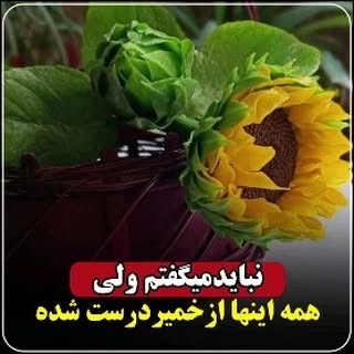 Post by honarkadeh.peony