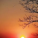 Marcelo's profile picture