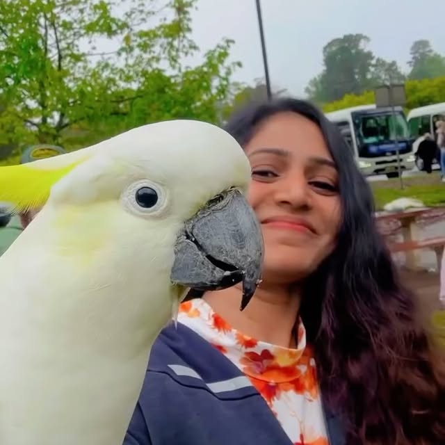 Post by ranjithaganesh