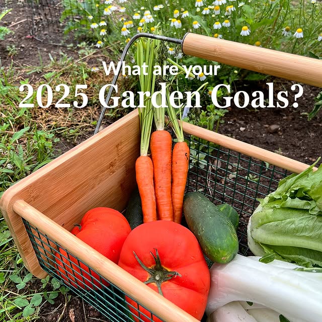 Post by ferrymorseseed