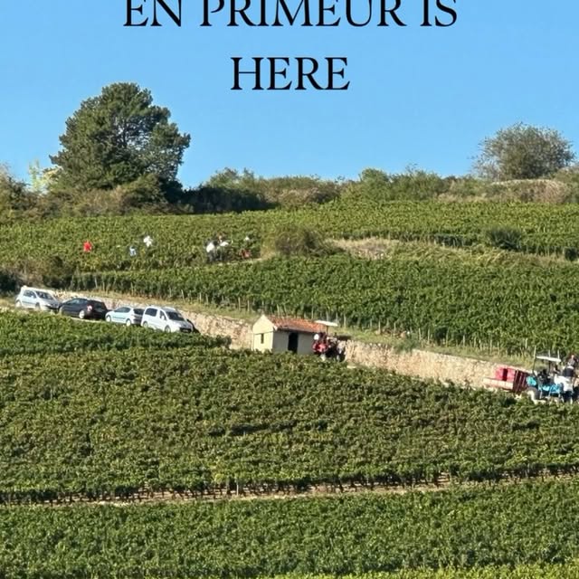 Post by jaspermorris.insideburgundy