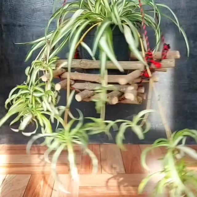 Post by flowerlovers2022