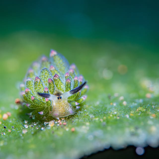 Post by floodedcamera