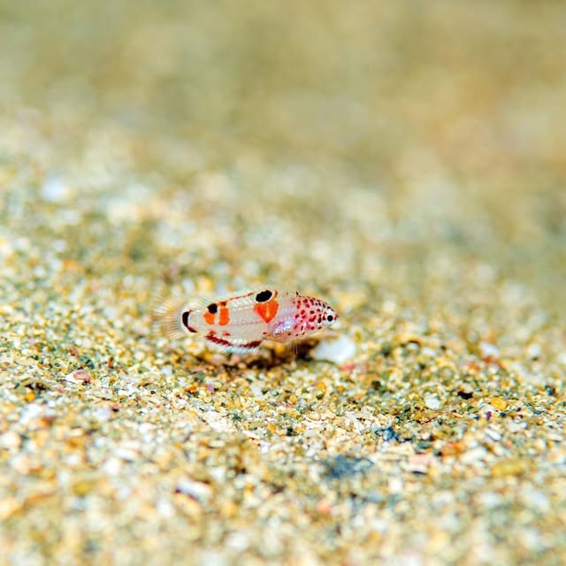 Post by islife_kosei