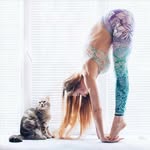 Landy 🌸's profile picture