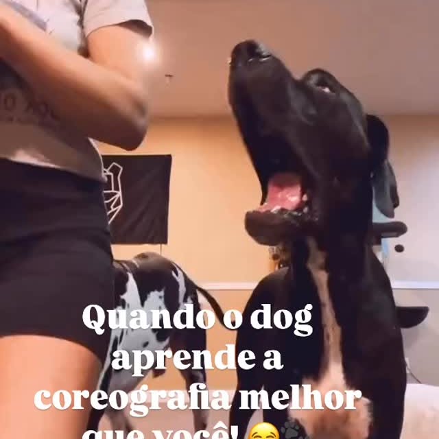 Post by snoopymaxtinho