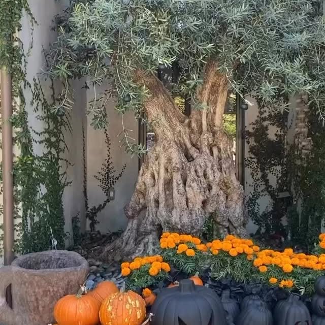 Post by lovelyinteriorsby.ki