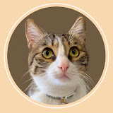 Toffeemuffy's profile picture