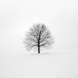 Trending Galaxy's profile picture