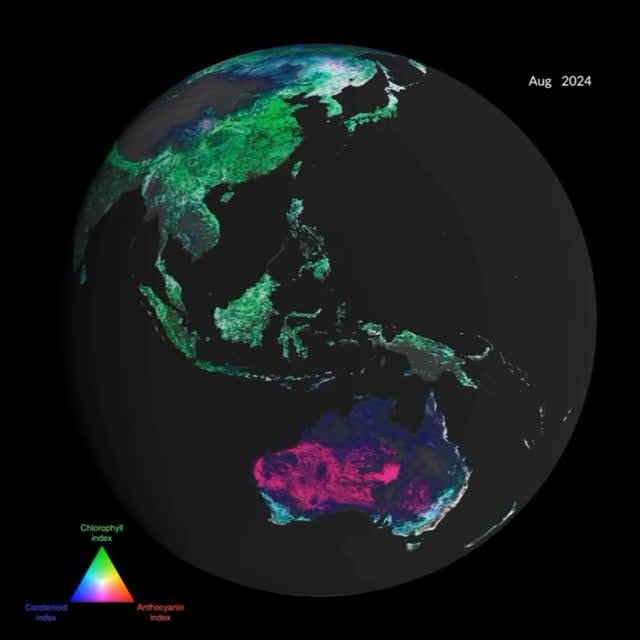 Post by space.for.earth