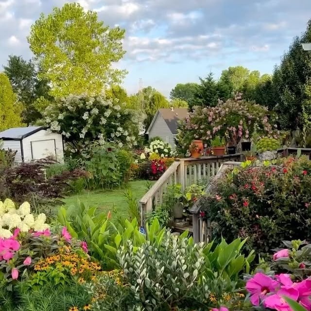 Post by jaysgardenjournal