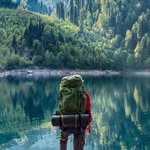 Camping | Survival | Bus's profile picture