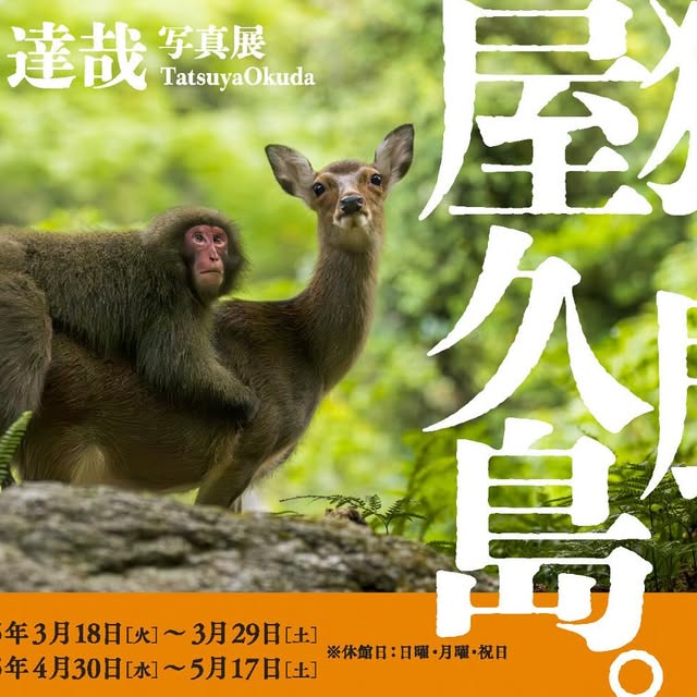 Post by reiko.alice.takahashi