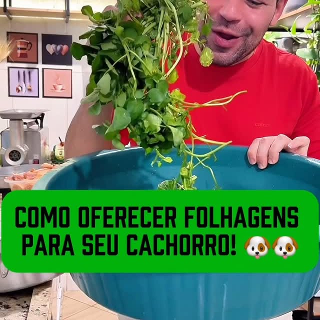 Post by dr.rennanviegas