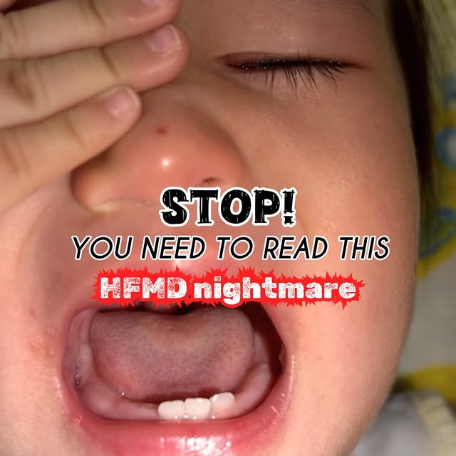 Post by elroy_says_ho_jiak