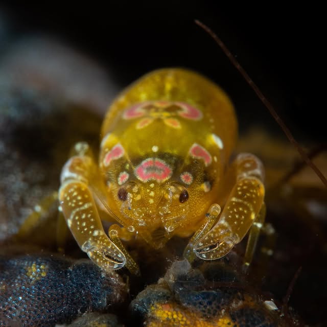 Post by michaels_bubbles