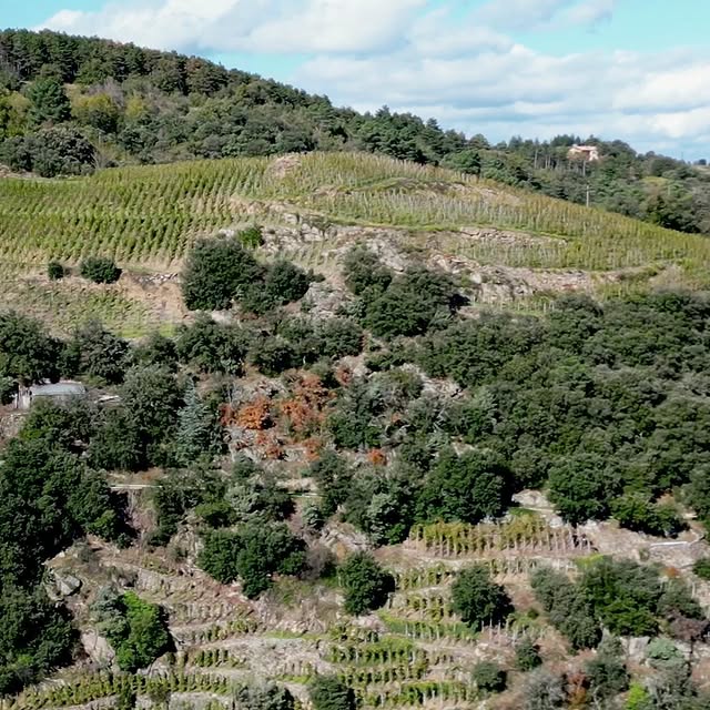 Post by littlewine.io