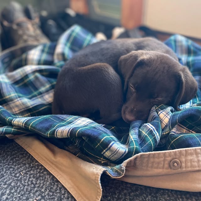 Post by stavingartist