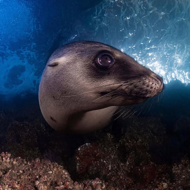 Post by ericdevicente