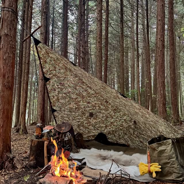 Post by j_pot_camp78