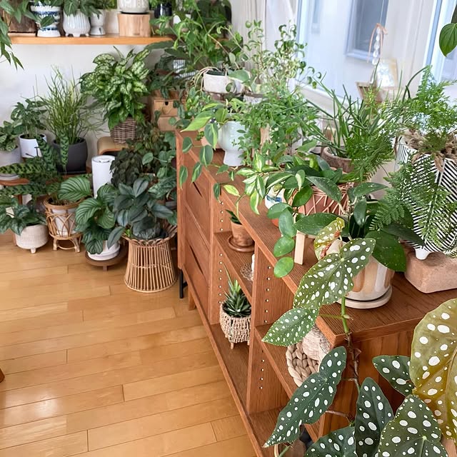 Post by time_with_liberty