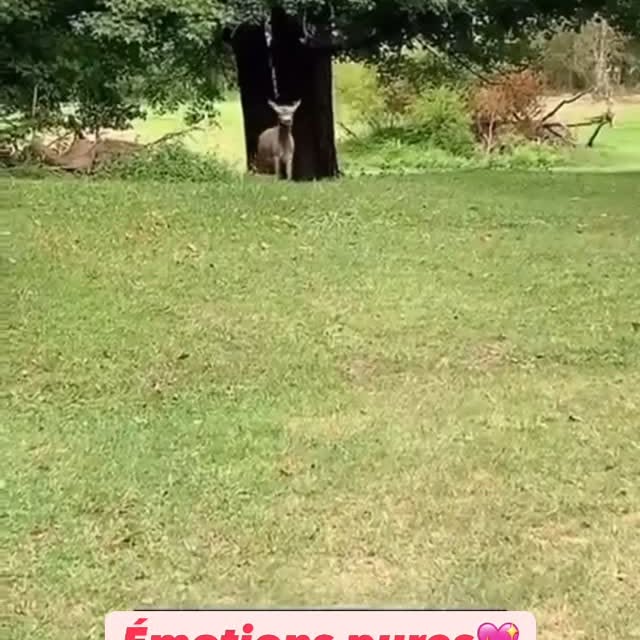 Post by explore_bestofme