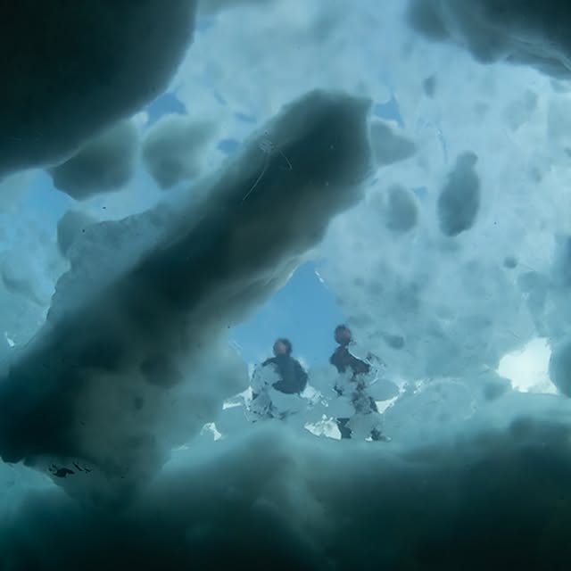 Post by shota_gorillahouse